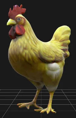 Rooster