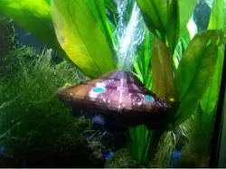 UFO Aquarium Bubbler