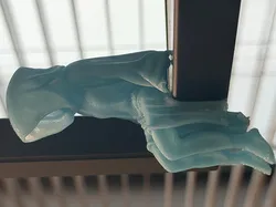 Veiled Woman