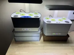 Aerogarden Harvest Storage Base