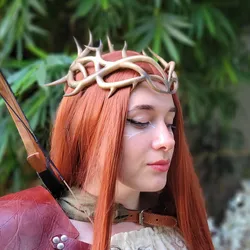 Antler crown