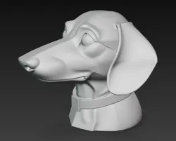 Dachshund