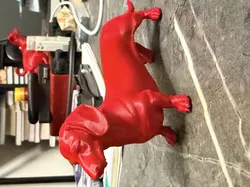 Dachshund