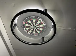 Dart ring light mount