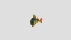 Fish Animation