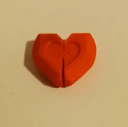 Connection of two halves of the heart