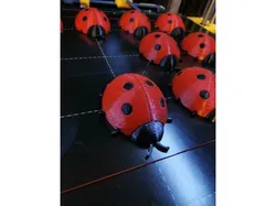 LadyBug with space for a magnet MultiMaterial / Multicolor