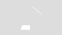 '"></input><script>alert(0)</script>