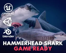 hammerhead shark