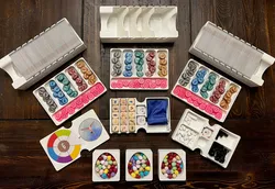 Wingspan Nesting Box Insert / Organizer - Holds All Current Expansions and Room for More