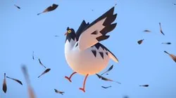 Bird