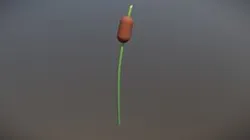 Cattail