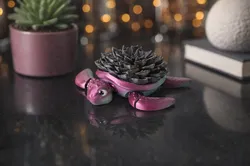 Flexi Turtle Desk Buddy with Succulent Shell