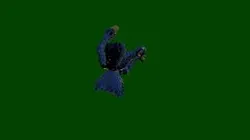 Backflip