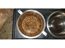 Dog Bowl Clip or Holder