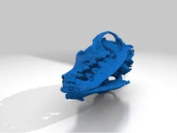 Dog Skull - CT Scan