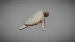 Realistic Female Hand 9