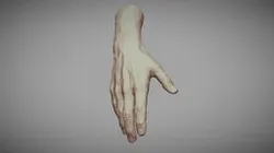 Realistic Male Hand 1