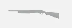 Shotgun