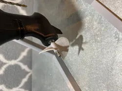 32mm RC boat propeller