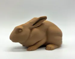 Alert Realistic Rabbit