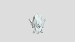 Dog Skull