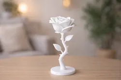 Elegant Rose