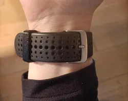 Garmin Watch Strap Loop