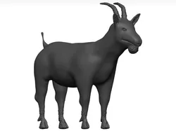 Goat