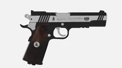 Gun