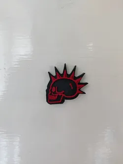 Skull Punk magnet
