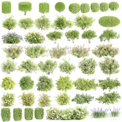 55 Bushes Collection-Blender-3DModel 3D Model Pack