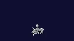 Collapsing Skeleton Animated