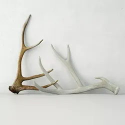 Deer Antlers 3D model