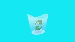 Windows XP - Trash Icon