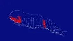 有吉北貝塚北斜面貝層の遺物3D分布データ（2025.06.30現在）