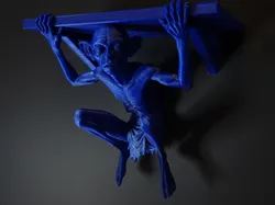 Gollum Shelf ''  My precious''