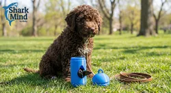 Minimalist Dog Poop Bag Dispenser | Dispensador de Bolsas Mascotas