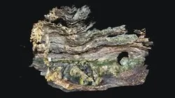 Teufelslöcher, 3D Scanner App, meshed & textured