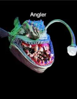 animal company anglerfish many new poses