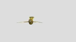 birdFLY
