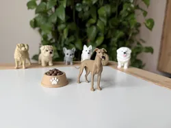 Greyhound