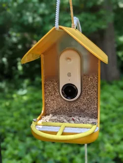 Small and Simple Bird Buddy Perch