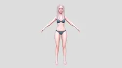Stylized Basemesh Female Character - Rigged