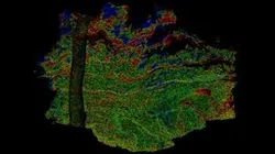 Teufelslöcher - M3C2 distance - Metascan