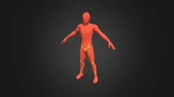284_Anatomie_ROBERT_Tristan