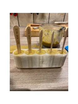 homemade ice cream form