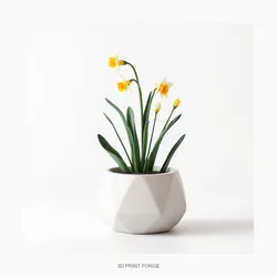 Daffodil Planter - 3D Printable STL File