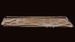 Footprint cast
