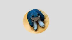tyler frog arkit